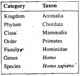 357_Conventions for using binomial nomenclature 1.png